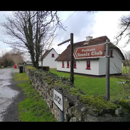 Thatcted Cottages Lough Derg Dromineer Екстериор снимка